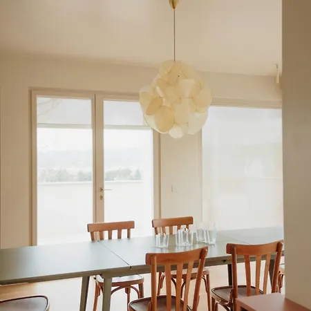 Modern House Among Olive Trees