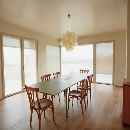 Modern House Among Olive Trees Spoltore