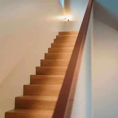 Modern House Among Olive Trees Spoltore