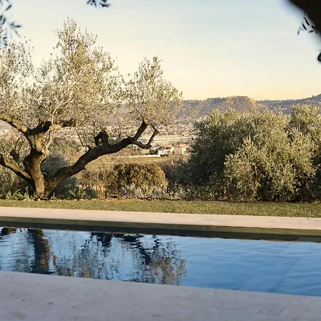 Modern House Among Olive Trees Spoltore