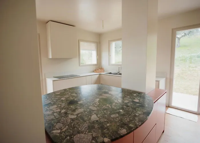 Modern House Among Olive Trees Hébergement de vacances