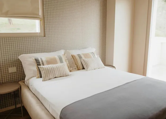 Modern House Among Olive Trees Hébergement de vacances