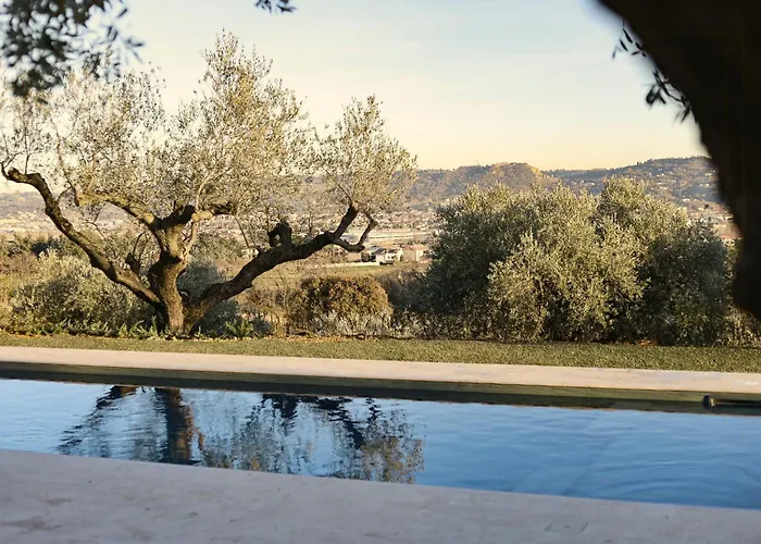 Modern House Among Olive Trees Spoltore