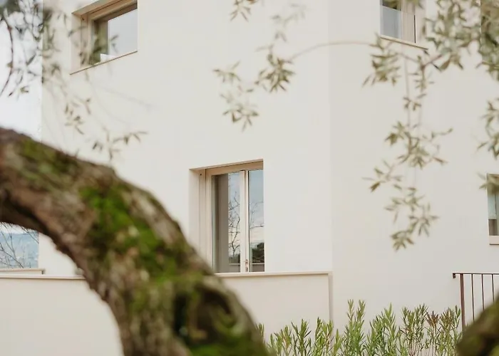 Hébergement de vacances Modern House Among Olive Trees *
