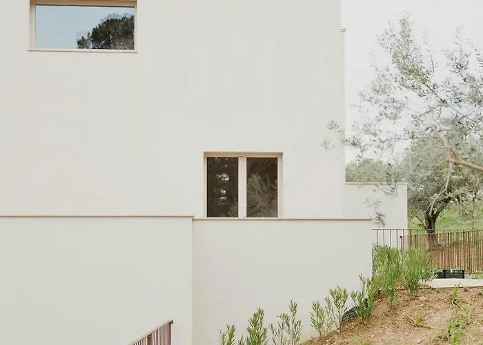 Modern House Among Olive Trees Spoltore