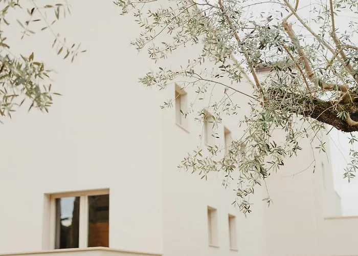 Hébergement de vacances Modern House Among Olive Trees Spoltore