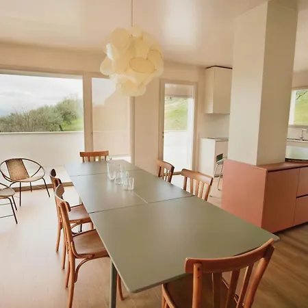 Modern House Among Olive Trees *