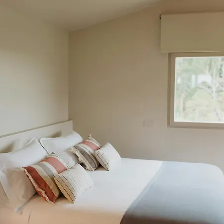 Modern House Among Olive Trees Spoltore