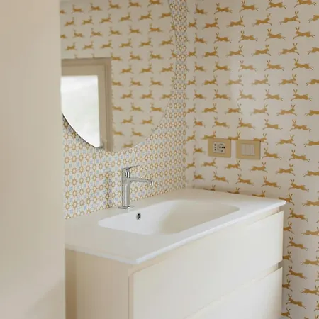 Modern House Among Olive Trees