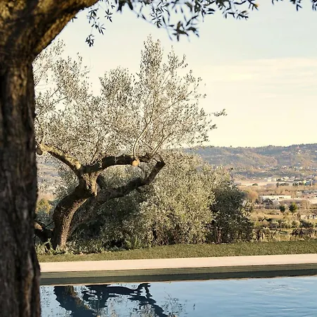 Modern House Among Olive Trees Spoltore