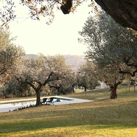Holiday home Modern House Among Olive Trees