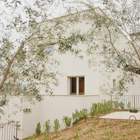 Modern House Among Olive Trees Spoltore
