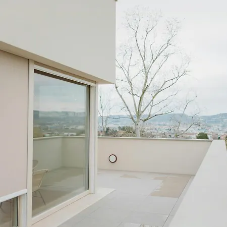 Modern House Among Olive Trees