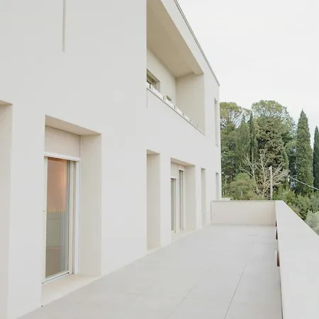 Modern House Among Olive Trees * Spoltore