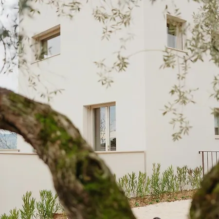 Modern House Among Olive Trees Spoltore