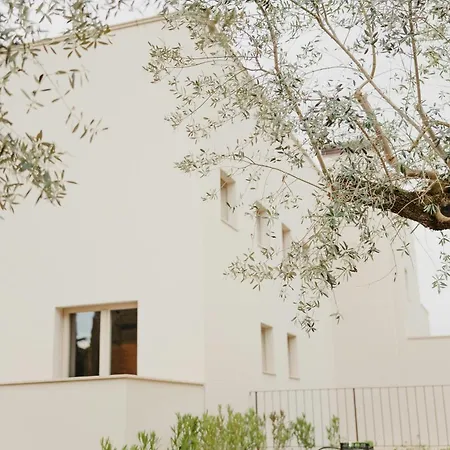 Modern House Among Olive Trees Holiday home *