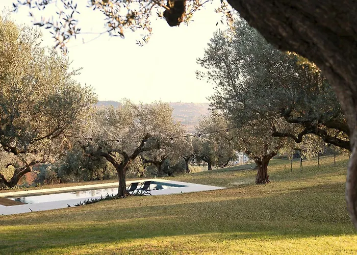Modern House Among Olive Trees Nyaraló *