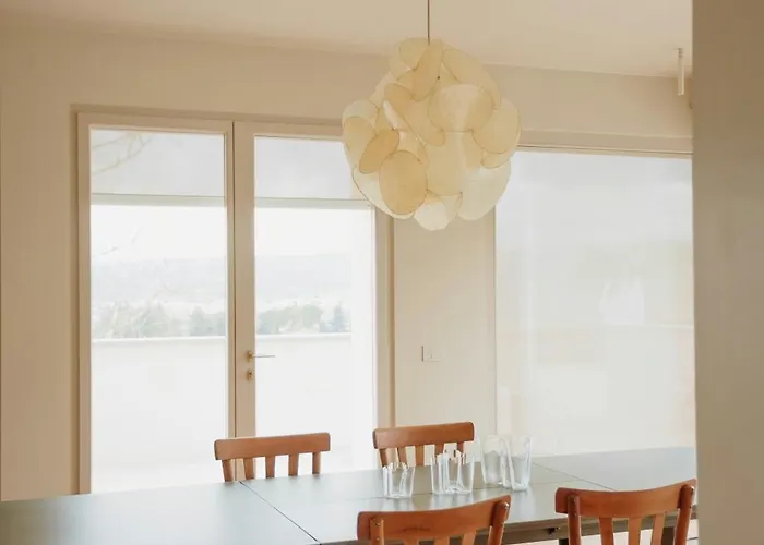 Modern House Among Olive Trees