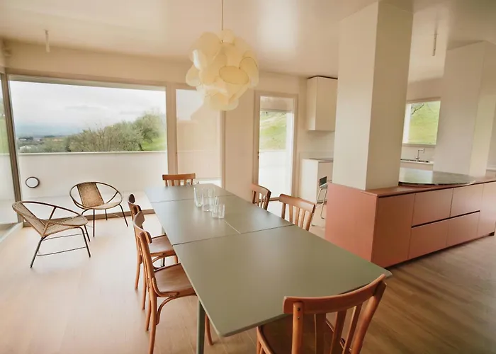 Modern House Among Olive Trees *