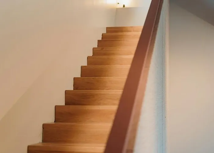 Modern House Among Olive Trees Spoltore