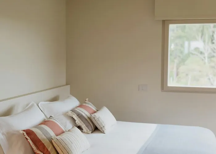 Modern House Among Olive Trees Spoltore