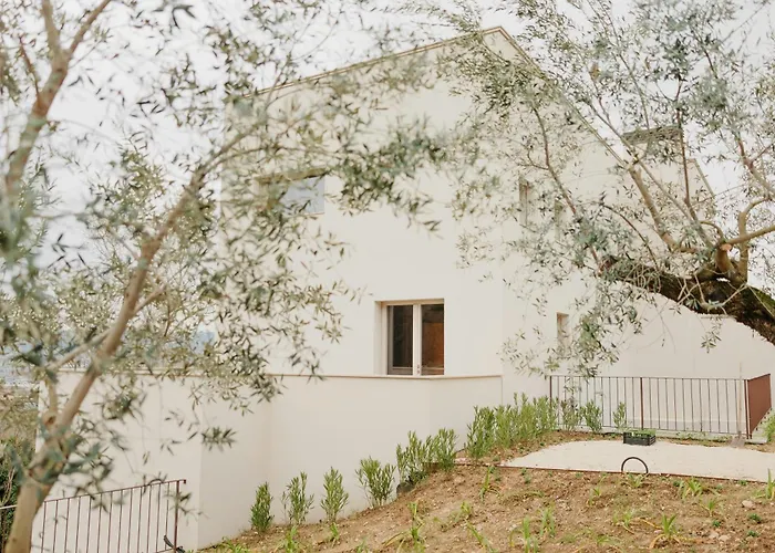 Nyaraló Modern House Among Olive Trees