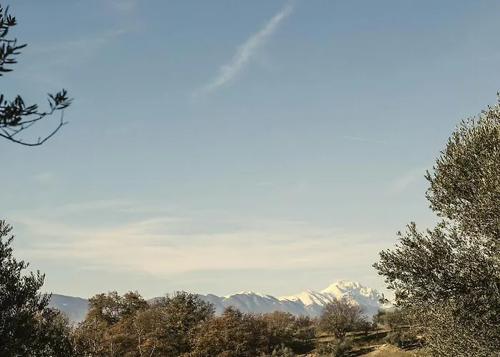 Modern House Among Olive Trees Spoltore